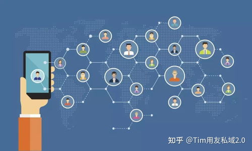 私域流量 技术推广服务的效益新引擎