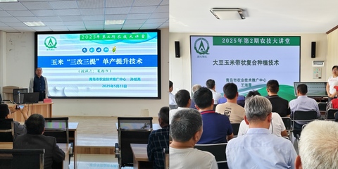 田间课堂解疑释惑 科技赋能绿色增粮