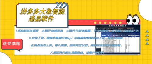 拼多多店群生态全解析 软件代理、后台招商与加盟机遇
